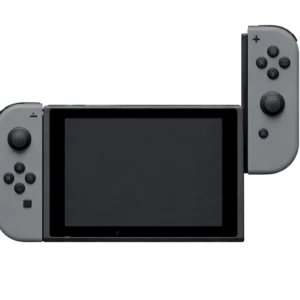 Nintendo Switch Lite Slider Rail Replacement Image