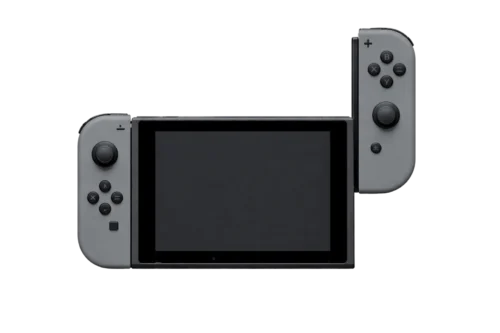 Nintendo Switch Lite Slider Rail Replacement Image